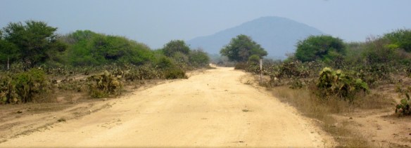 Collectivo view. Photo: Rosary Walsh