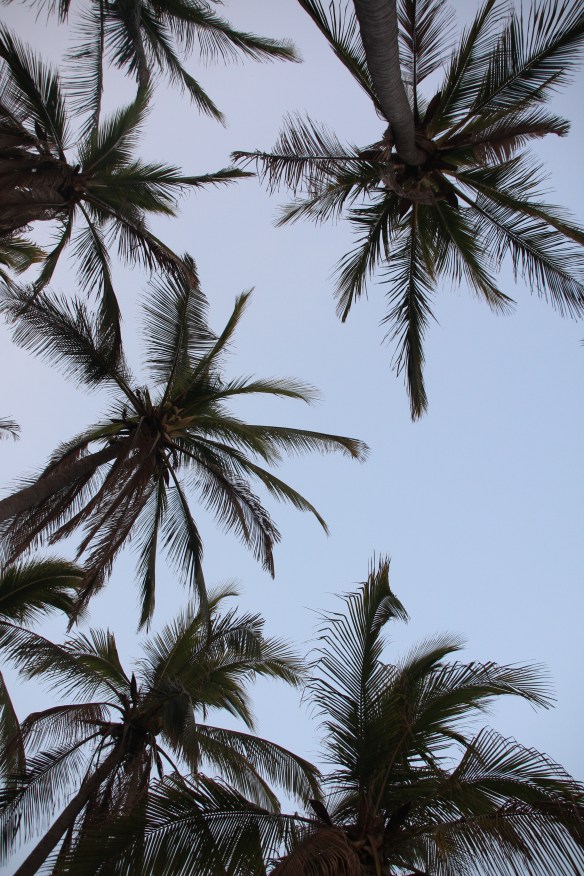 It's nice to look up once in a while. Photo: Rosary Walsh