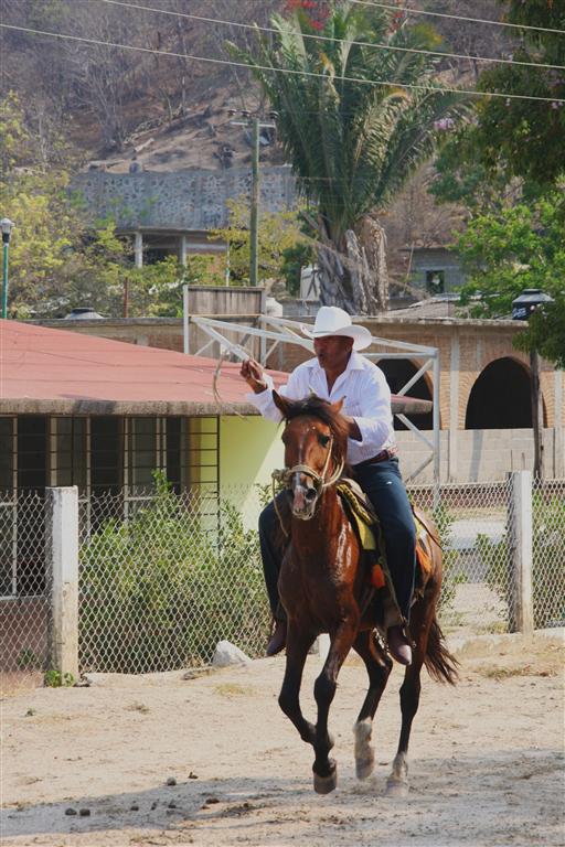 Real Mexican cowboys. Photo: Rosary Walsh