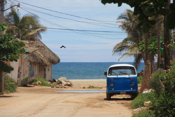 A road to the beach and a passing bird. Photo: Roary Walsh