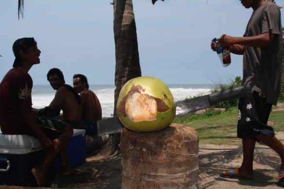 Post surf fresh young coconut...perfect!