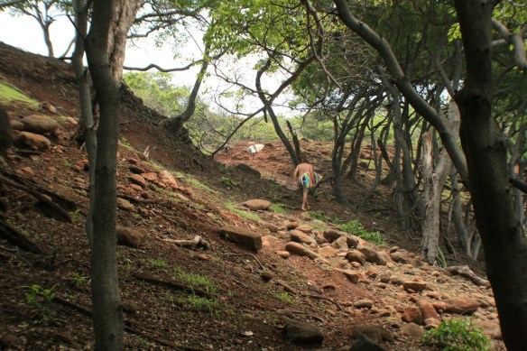 Surf El Salvador Emma Gibbons SaltyLips