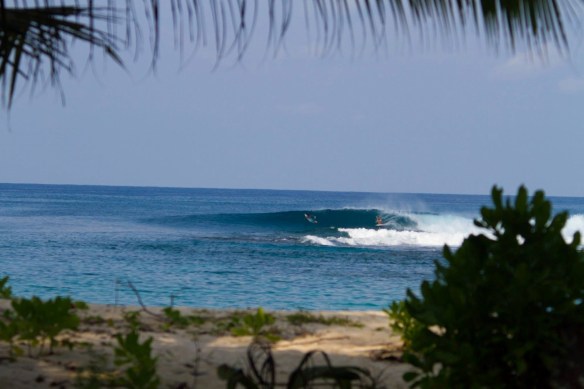 Salty Lips' Shannon surfing in the Mentawai's