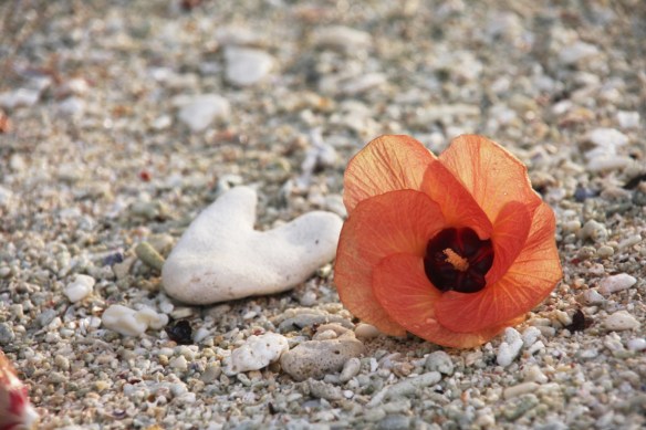 SaltyLips Rosary Walsh Indonesia surf Salty Lips