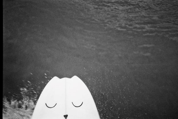 Salty Lips Kat Charles Surfing WA SaltyLips