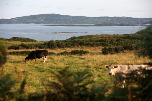 SaltyLips Womens Surf Ireland Surf Girls Salty Lips