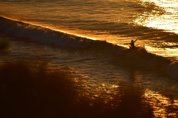 SaltyLips Womens Surf WSL Women's World Tour Thea McDonald-Lee Surf Girls Salty Lips
